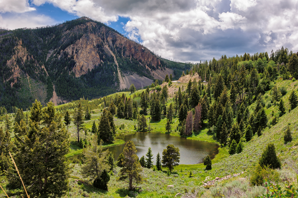 Yellowstone